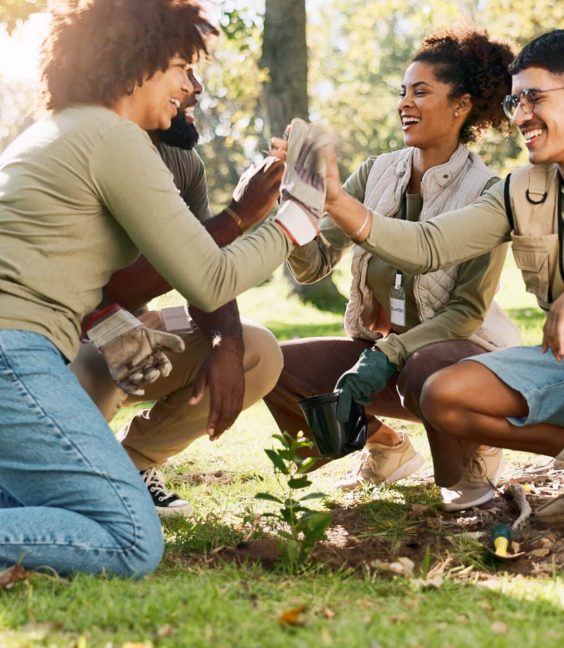 High five, support and community people in park, nature and garden for sustainable environment. Group work, climate change or volunteers with celebration, growth or green ecology for earth day.